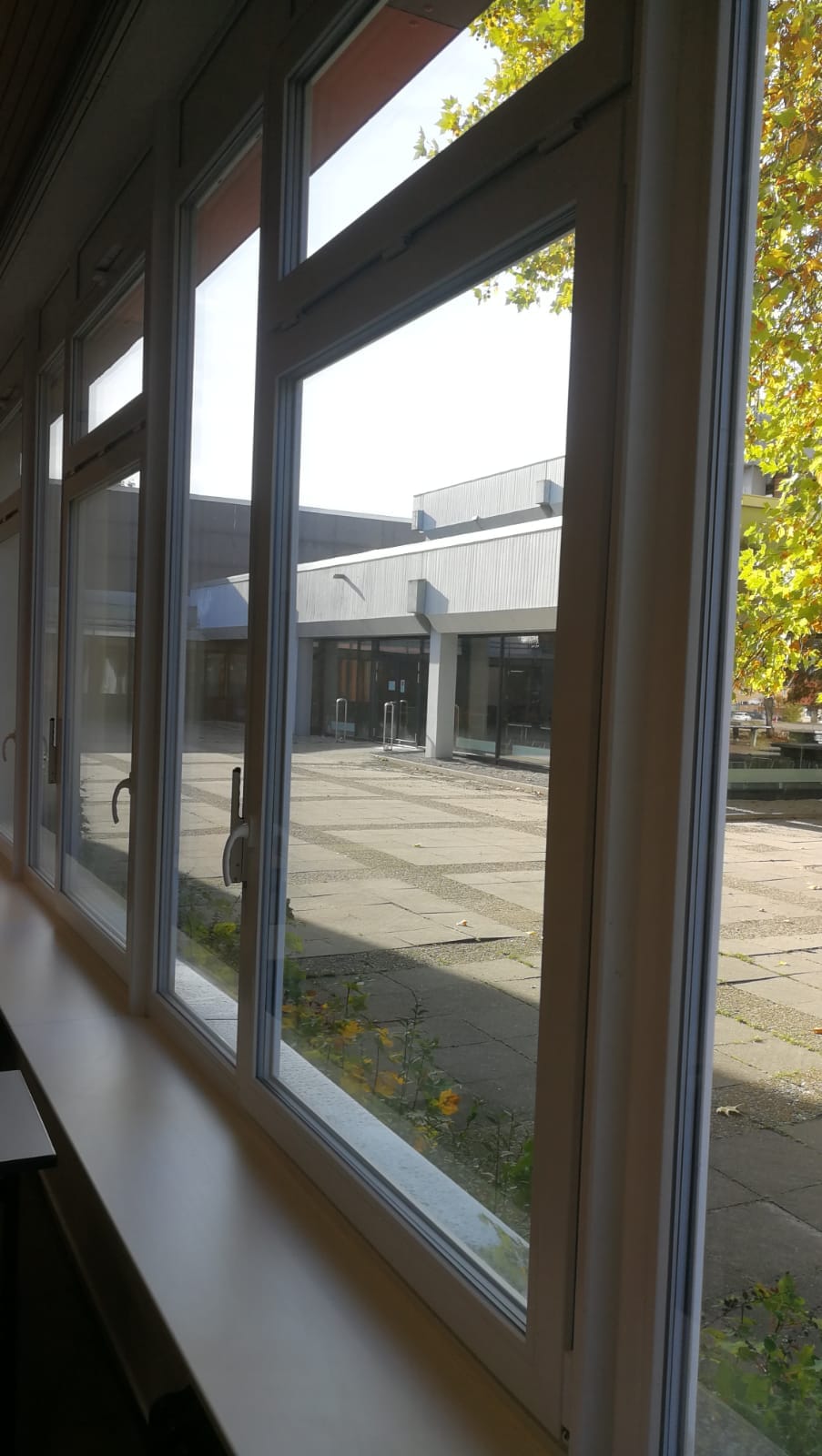 Fenster im Detail, IGS Wittingen Detailansicht der neuen Fenster an der IGS Wittingen